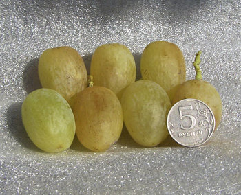 24915001.jpg