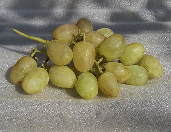 24215002.jpg