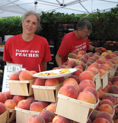 ginger-and-flamin-fury-peaches.jpg