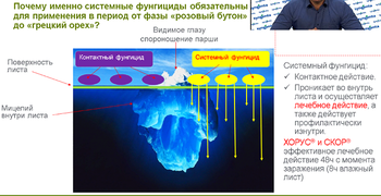 Скриншот 30-01-2018 102432.png