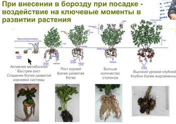 Скриншот 09-03-2018 220128.png