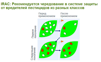 Скриншот 24-03-2018 121312.png