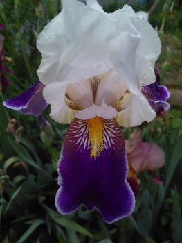 IMG_20180508_180907.jpg