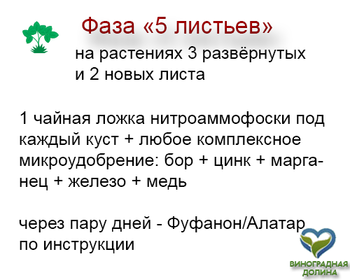 Агротехника клубники 0101.png