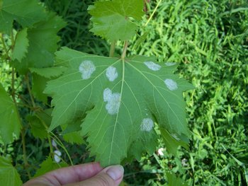 100_3857.JPG