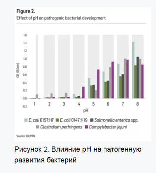 Скриншот 04-03-2020 191650.png