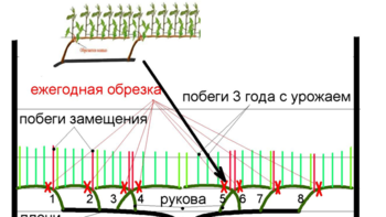 Снимок экрана (36).png