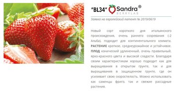 Снимок.JPG