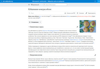 Рубцевание.jpg