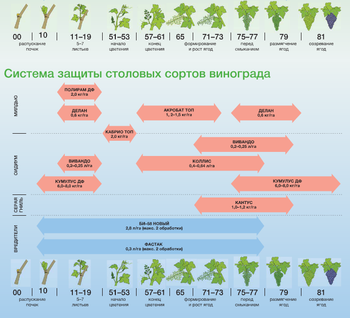 Скриншот 14-03-2017 092450.png