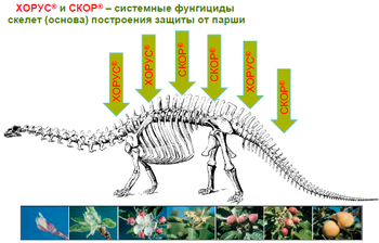 Скриншот 13-02-2018 151342.png