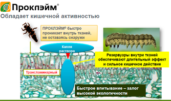 Скриншот 25-03-2018 093204.png