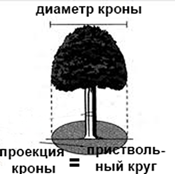 Скриншот 13-02-2019 211304.png