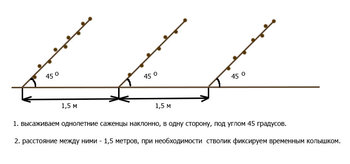 Без имени-1.jpg